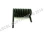 L/H Spring - Ital Panini CCG1/F RR-RR TIM Grill 